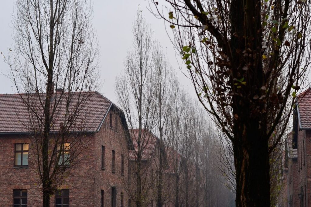 auschwitz 4j
