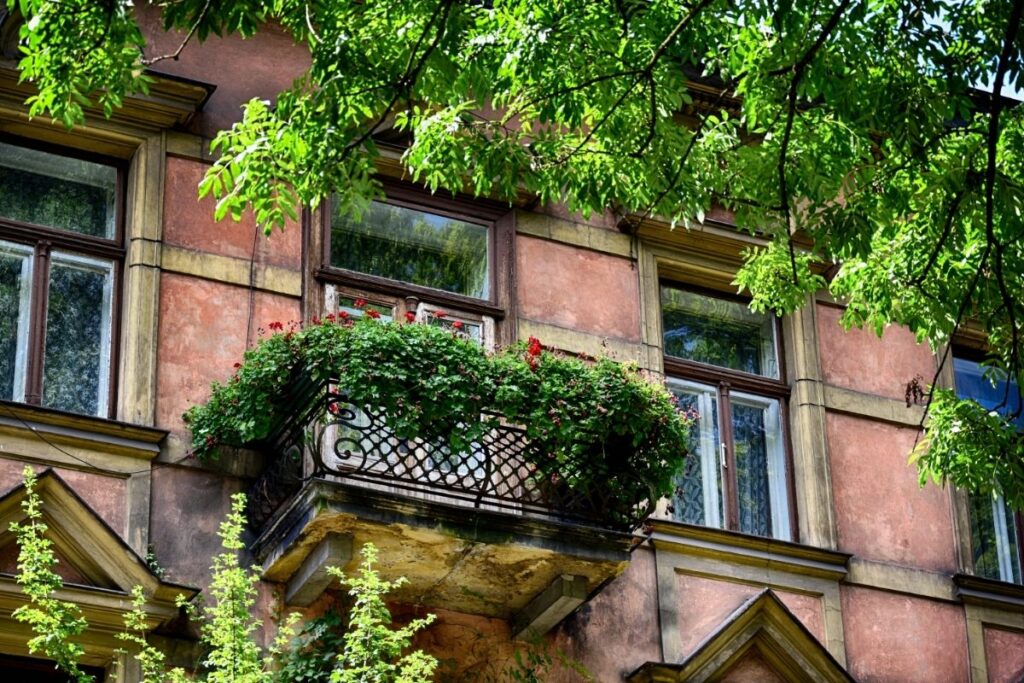 stare miasto